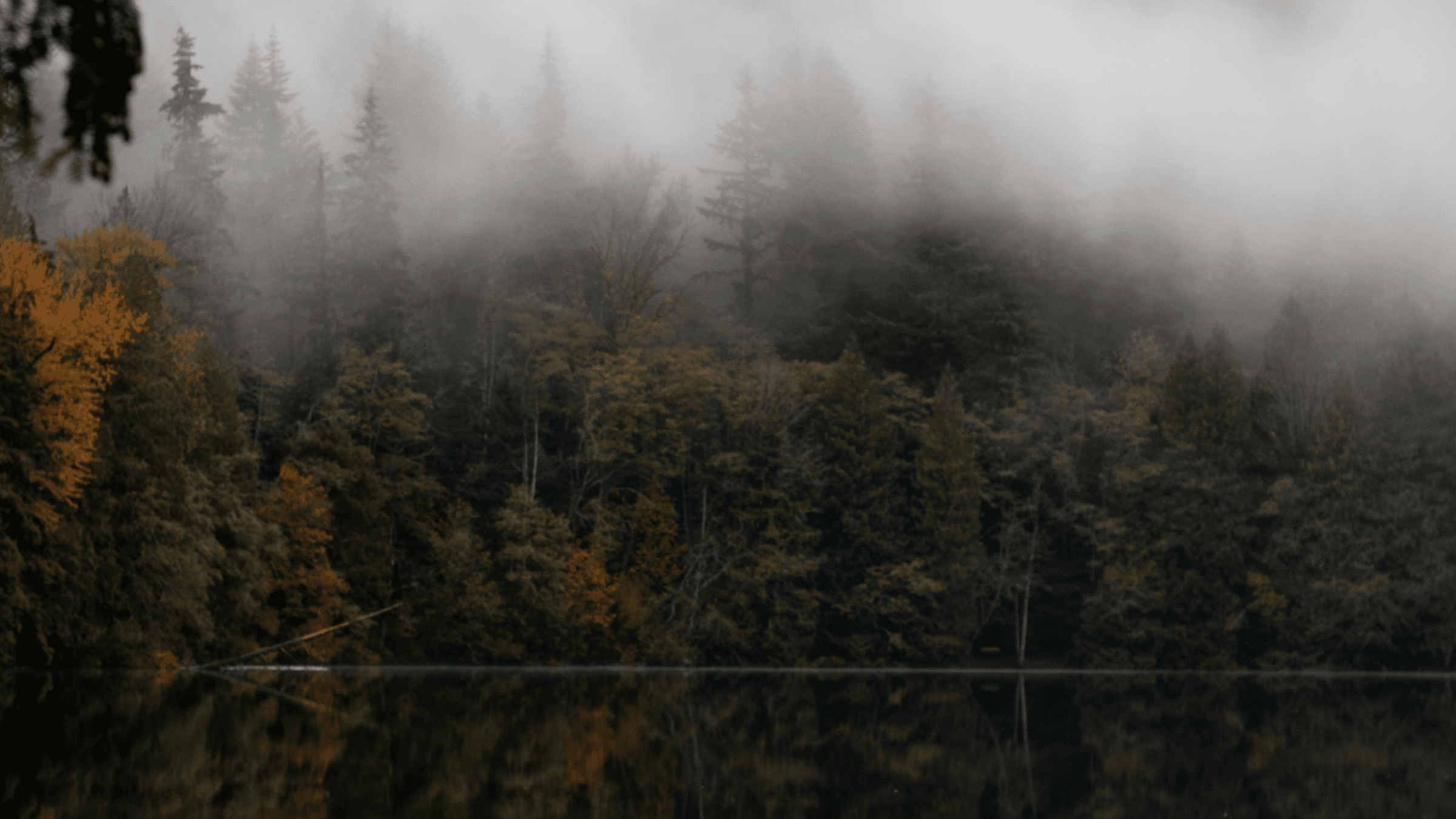 Path to Play x RunReady Scholarship Hero